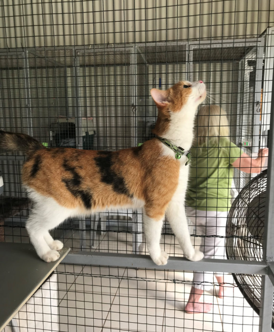 image 222