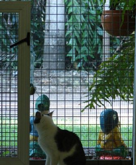 image 223